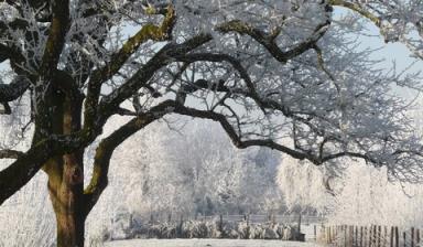 商业养老保险：投资未来，保障晚年